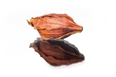 《真人快打1》DLC角色泄露 祖国人、和平使者参战